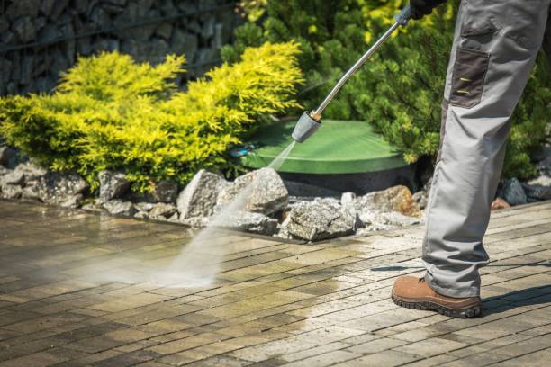 Professional  Pressure Washing Services in Mascot, TN